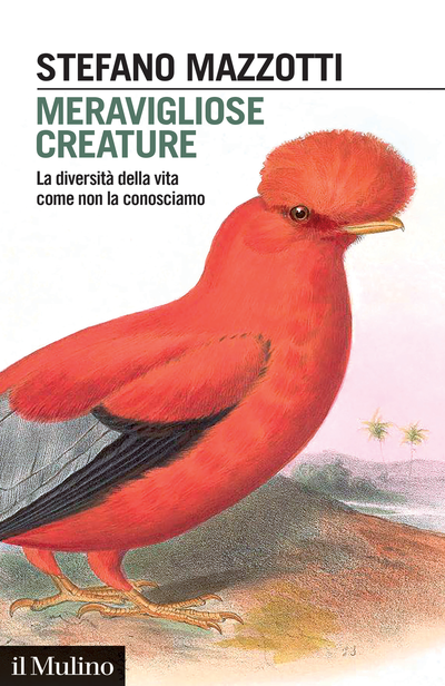 Copertina Meravigliose creature